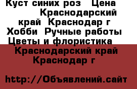 Куст синих роз › Цена ­ 1 600 - Краснодарский край, Краснодар г. Хобби. Ручные работы » Цветы и флористика   . Краснодарский край,Краснодар г.